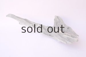 画像4: 変形流木