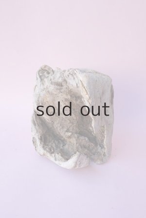 画像2: 変形流木