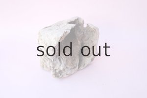 画像7: 変形流木