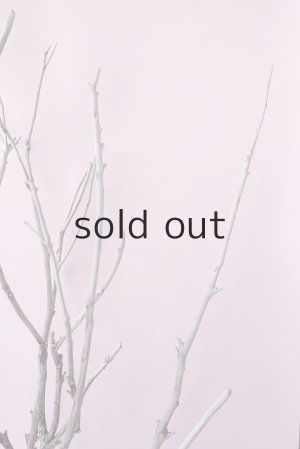 画像6: 枝流木・大型