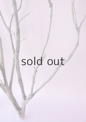 画像9: 枝流木・大型