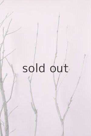 画像8: 枝流木・大型