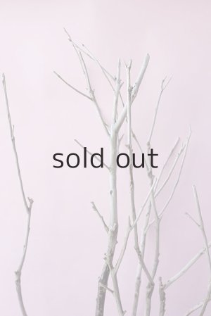 画像5: 枝流木・大型