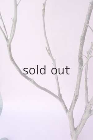 画像3: 枝流木・大型