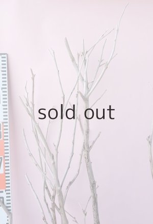 画像7: 枝流木・大型