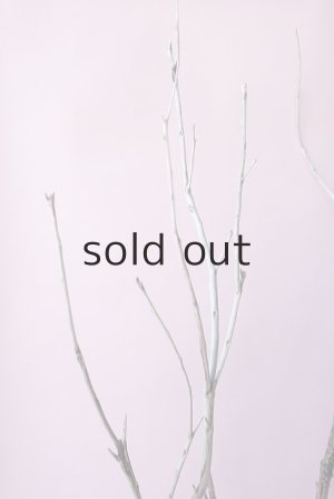 画像4: 枝流木・大型