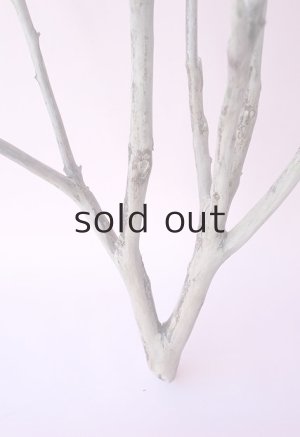 画像2: 枝流木・大型