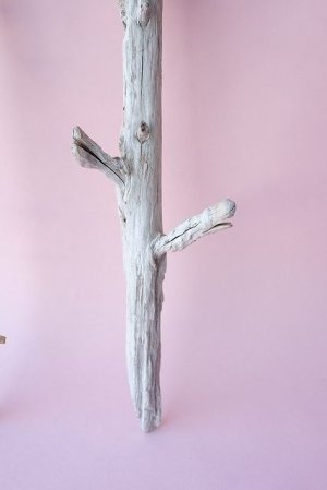 画像2: 小枝流木セット
