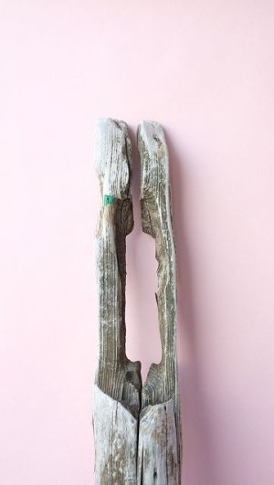 画像4: 変形流木