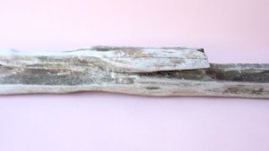 画像14: 変形流木