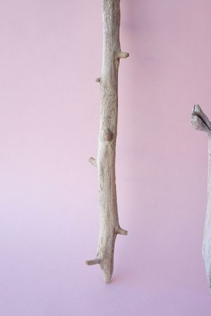 画像4: 小枝流木セット