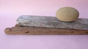 画像6: 板流木セット