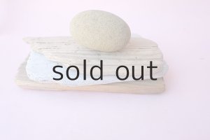 画像6: 板流木セット