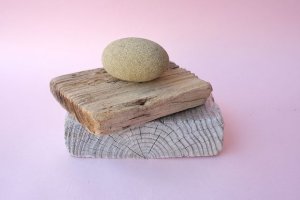 画像4: 板流木セット