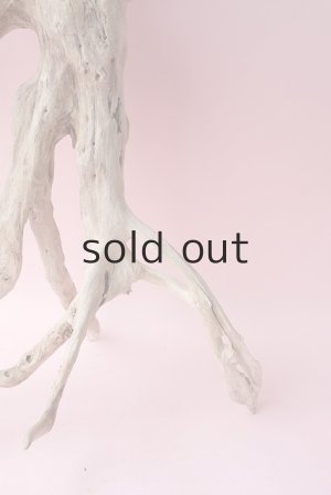 画像3: 流木根・中型