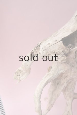 画像13: 流木根・中型