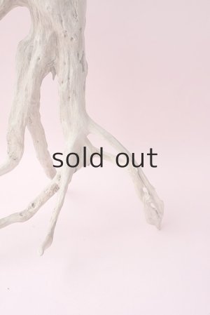 画像17: 流木根・中型