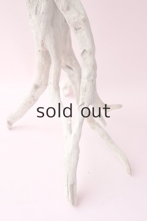 画像8: 流木根・中型