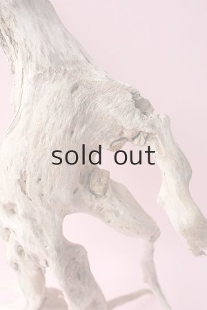 側部に石を抱いています。