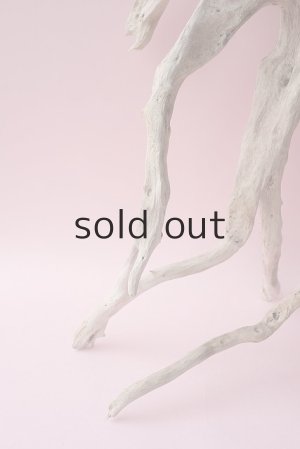 画像2: 流木根・中型