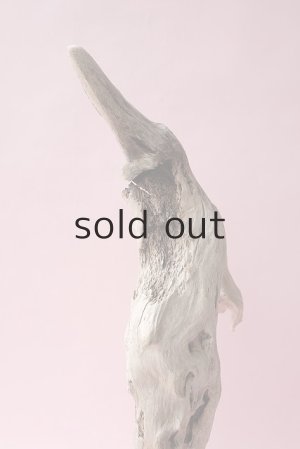 画像10: 流木根・中型