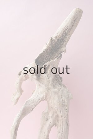 画像4: 流木根・中型