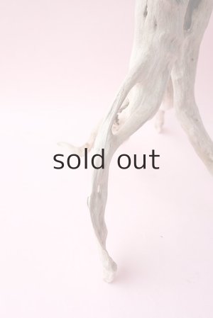 画像11: 流木根・中型