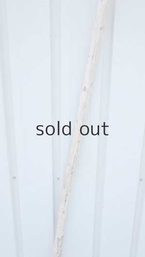 画像3: 棒流木・長尺