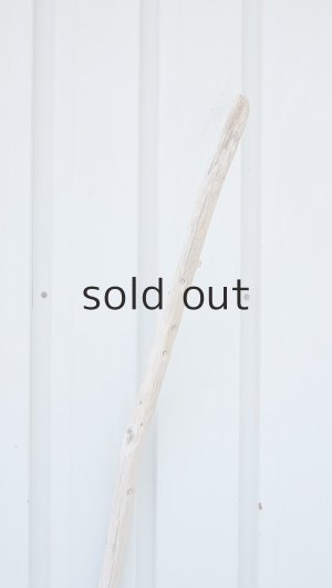 画像4: 棒流木・長尺