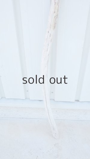 画像2: 棒流木・長尺