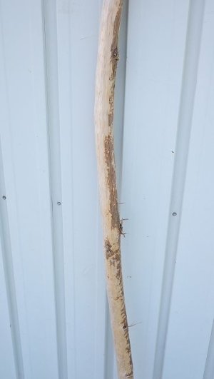 画像3: 大型　棒