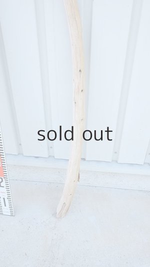 画像5: 棒流木（outlet）