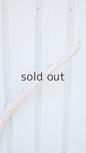 画像4: 棒流木（outlet）