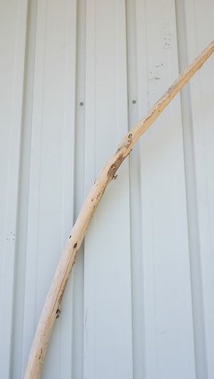 画像5: 大型　棒