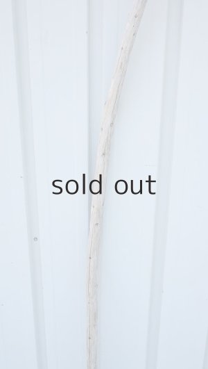 画像3: 棒流木・長尺