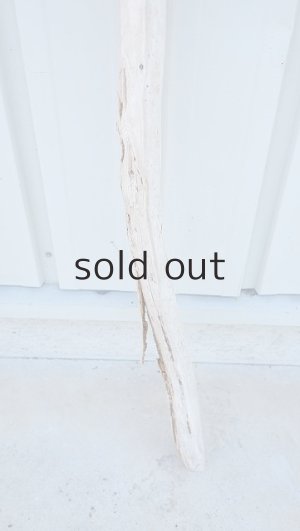 画像2: 棒流木（outlet）