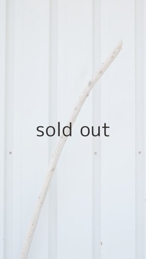 画像4: 棒流木・長尺