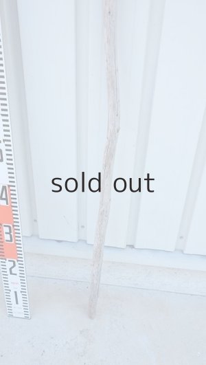 画像5: 棒流木・長尺