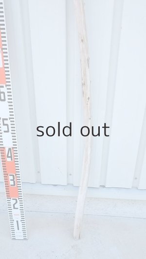 画像5: 棒流木・長尺