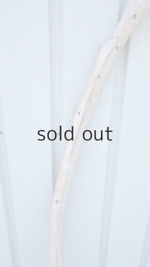 画像3: 棒流木（outlet）