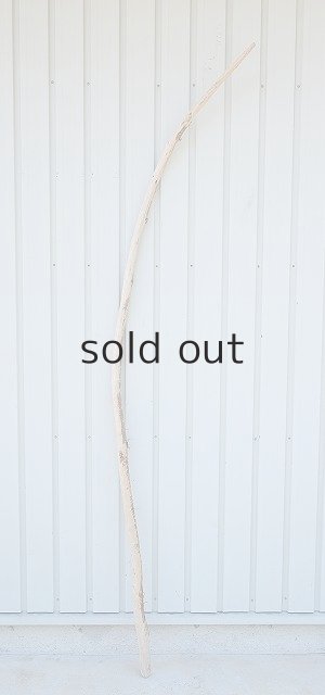 画像1: 大型　棒