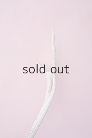 画像6: デコール用二ホンジカの角（ヘッド付）