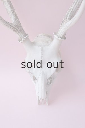 画像2: デコール用二ホンジカの角（ヘッド付）