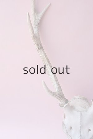 画像3: デコール用二ホンジカの角（ヘッド付）