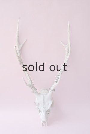 画像1: デコール用二ホンジカの角（ヘッド付）