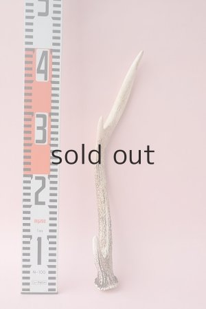 画像4: デコール用二ホンジカの角