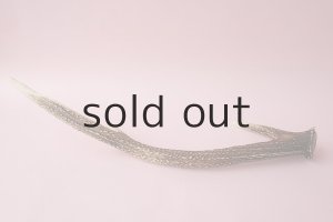 画像4: デコール用二ホンジカの角