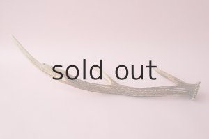 画像4: デコール用二ホンジカの角