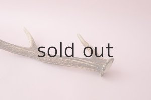 画像5: デコール用二ホンジカの角