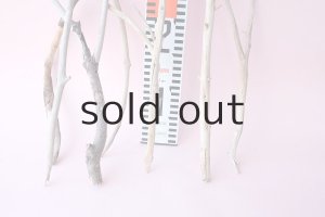 画像6: 小枝流木セット